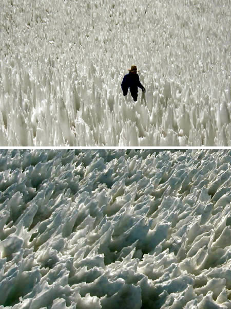 Image result for ‫میخ های یخی‬‎